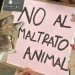 Día del Animal: en San Juan se registran más de 2 denuncias por maltrato al día