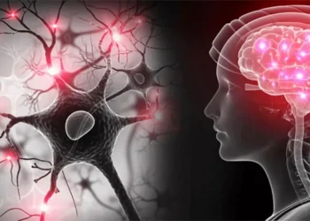 Estudio revela que el microbioma intestinal podría anticipar el riego de padecer Parkinson