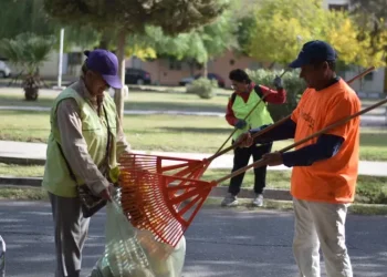 Se viene «Rivadavia Separa»: el ambicioso plan de Miodowsky para revolucionar la recolección de basura