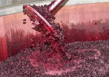 Alianza regional en el Congreso: San Juan, Mendoza y Río Negro presentaron el proyecto de la nueva Ley del Mosto