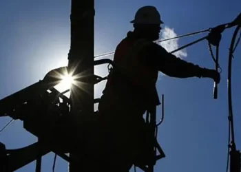 Plan de contingencia ante el Zonda: Naturgy inició una fuerte campaña de poda en San Juan para frenar los cortes de luz por el viento