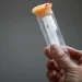 Alerta global por el avance del Chikungunya: un estudio científico advierte que Europa, EE. UU. y Asia serán nuevos focos del virus antes de fin de siglo