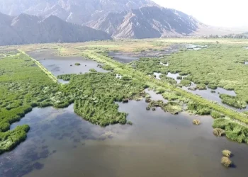 Nueva guía ambiental en San Juan: cómo identificar huellas de mamíferos en el Parque Sarmiento