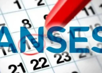 Calendario de ANSES: cuánto y cuándo cobran los jubilados en junio con la suma de aumento, bono y aguinaldo