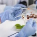 Revolución en salud mental: estudian un componente de los hongos alucinógenos para tratar la adicción a la cocaína