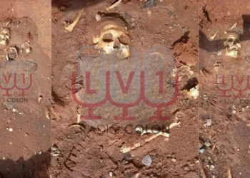 Giro en la investigación por el hallazgo de restos óseos en Iglesia: confirman que son del siglo XX y pertenecen al menos a dos personas