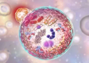 Mucopolisacaridosis: el desafío de detectar a tiempo una enfermedad silenciosa