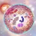 Mucopolisacaridosis: el desafío de detectar a tiempo una enfermedad silenciosa