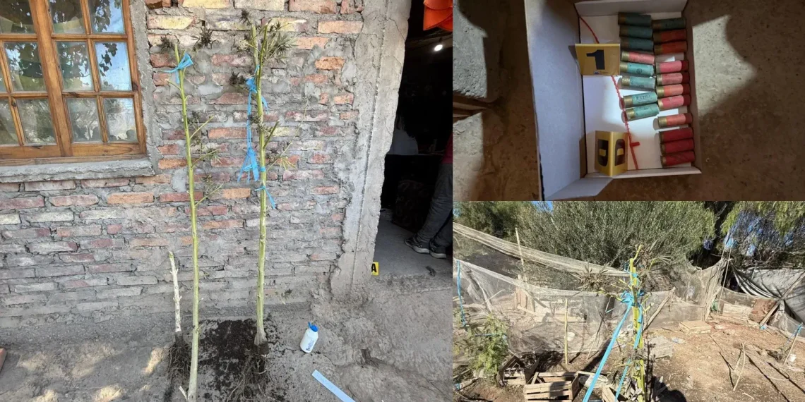 Golpe a la caza ilegal y el narcotráfico en Pocito: secuestran armas, drogas y fauna silvestre