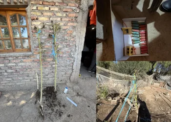 Golpe a la caza ilegal y el narcotráfico en Pocito: secuestran armas, drogas y fauna silvestre