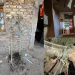 Golpe a la caza ilegal y el narcotráfico en Pocito: secuestran armas, drogas y fauna silvestre
