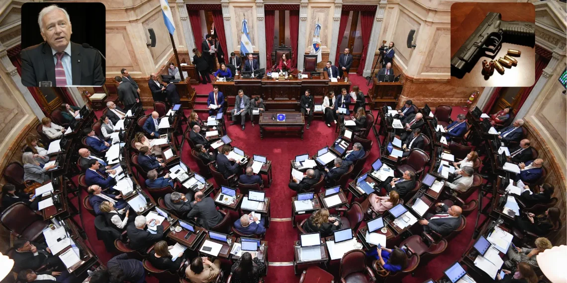 El Senado vuelve al recinto: debaten el pago a fondos buitre y la continuidad del juez Mahiques