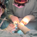 Hito médico en San Juan: en el Hospital Rawson operan a bebés de apenas 500 gramos sin moverlos de Neonatología