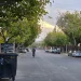 Nueva alerta amarilla en San Juan: llega el viento sur con ráfagas que superarán los 70 km/h