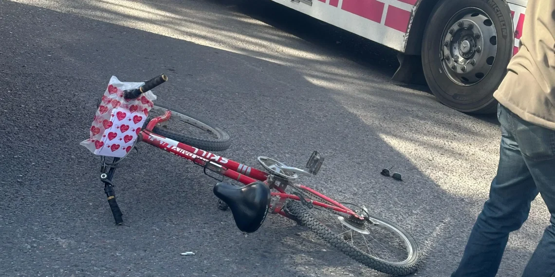 Imputaron al chofer de la Red Tulum que atropelló a una ciclista en Rivadavia: la víctima tiene muerte cerebral