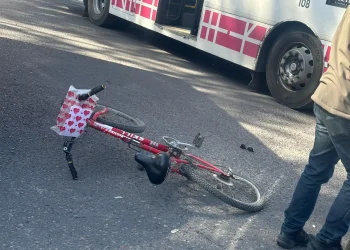 Imputaron al chofer de la Red Tulum que atropelló a una ciclista en Rivadavia: la víctima tiene muerte cerebral