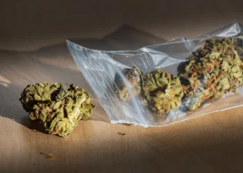 Escándalo en el Colegio Nacional: la Policía los descubrió vendiendo droga a través de las rejas