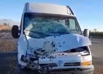 Un caballo suelto provocó un violento choque en Ruta 40 y murió en el acto