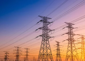 El misterio revelado: Yaguareté Energía fue la firma que pagó $260 millones por el pliego eléctrico pero desistió de competir en San Juan