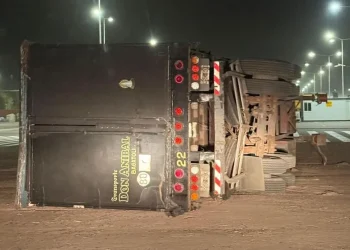 El viento Zonda en San Juan: las ráfagas causaron más daños en el arbolado público que focos de incendio