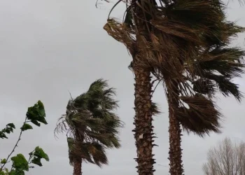 Alerta amarilla en San Juan: advierten por fuertes vientos con ráfagas de más de 65 km/h