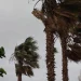 Alerta amarilla en San Juan: advierten por fuertes vientos con ráfagas de más de 65 km/h