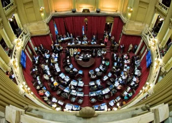 El Senado acelera el debate por la reforma de salud mental que habilita internaciones “no voluntarias”
