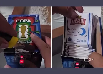 ¡Insólito!: compró una caja de figuritas del Mundial a precio de ganga y adentro descubrió un «té de anís»