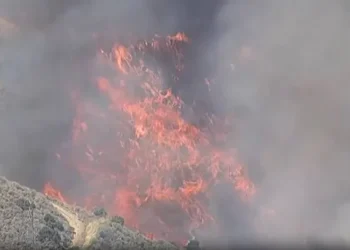 Alerta en California: un feroz incendio forestal ya provocó la evacuación de casi 30.000 personas