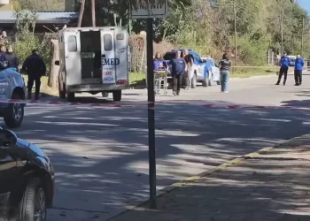 Tragedia en Punilla: una nena de cuatro años murió tras ser atacada por un perro