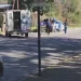 Tragedia en Punilla: una nena de cuatro años murió tras ser atacada por un perro