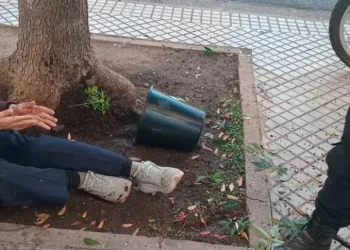 Insólito accidente en pleno centro de Rosario: una mujer resultó herida tras el impacto de una maceta