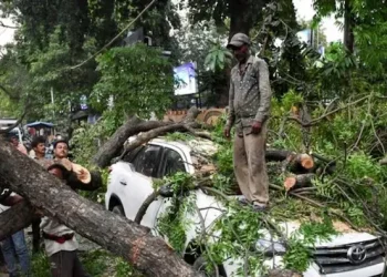 Tragedia en la India: un feroz temporal con vientos de 130 km/h dejó al menos 117 muertos