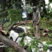 Tragedia en la India: un feroz temporal con vientos de 130 km/h dejó al menos 117 muertos