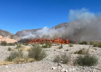 Confirmado: El incendio en el Parque de Tecnologías Ambientales de Rivadavia fue intencional