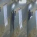 De no creer: la insólita maniobra de un delincuente para entrar a robar a una panadería en 25 de Mayo
