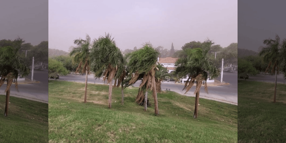 Protección Civil emitió una alerta por fuerte viento Sur en el este de San Juan