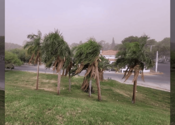 Protección Civil emitió una alerta por fuerte viento Sur en el este de San Juan