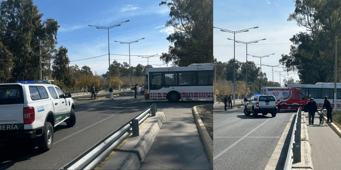 Tragedia en Rivadavia: una ciclista sufrió muerte cerebral tras ser atropellada por un colectivo de la Red Tulum