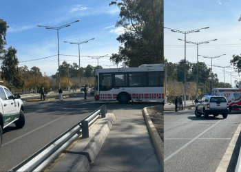 Tragedia en Rivadavia: una ciclista sufrió muerte cerebral tras ser atropellada por un colectivo de la Red Tulum