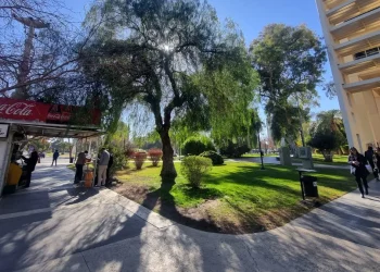 Tarde agradable en San Juan: se espera un marcado ascenso de la temperatura hacia la tarde