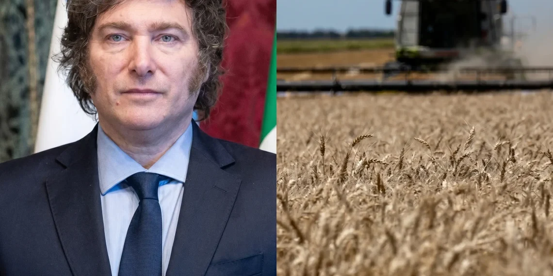 Reacciones cruzadas por la baja de retenciones anunciada por Milei: respaldo oficialista y críticas desde el campo