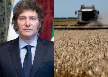 Reacciones cruzadas por la baja de retenciones anunciada por Milei: respaldo oficialista y críticas desde el campo