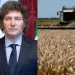 Reacciones cruzadas por la baja de retenciones anunciada por Milei: respaldo oficialista y críticas desde el campo