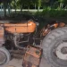 Golpe al robo rural en Pocito: cayó mientras intentaba huir con un tractor y varios kilos de ajo
