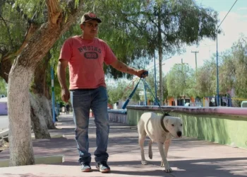 Nuevos operativos de tenencia responsable de mascotas en Chimbas y Pocito