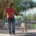 Nuevos operativos de tenencia responsable de mascotas en Chimbas y Pocito