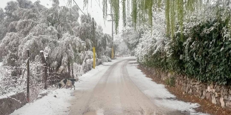 Las bajas temperaturas se asentarán en San Juan de forma paulatina y sin cambios bruscos