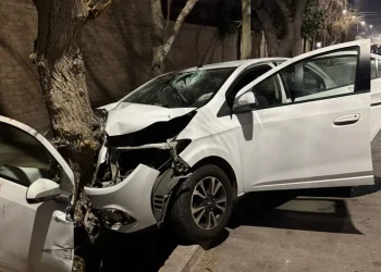 Tragedia en Trinidad: chocó de atrás a una camioneta, impactó contra un árbol y murió en el acto