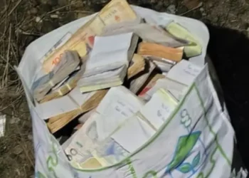 Golpe comando frustrado en la Patagonia: balearon y secuestraron a un camionero para robarle $43 millones